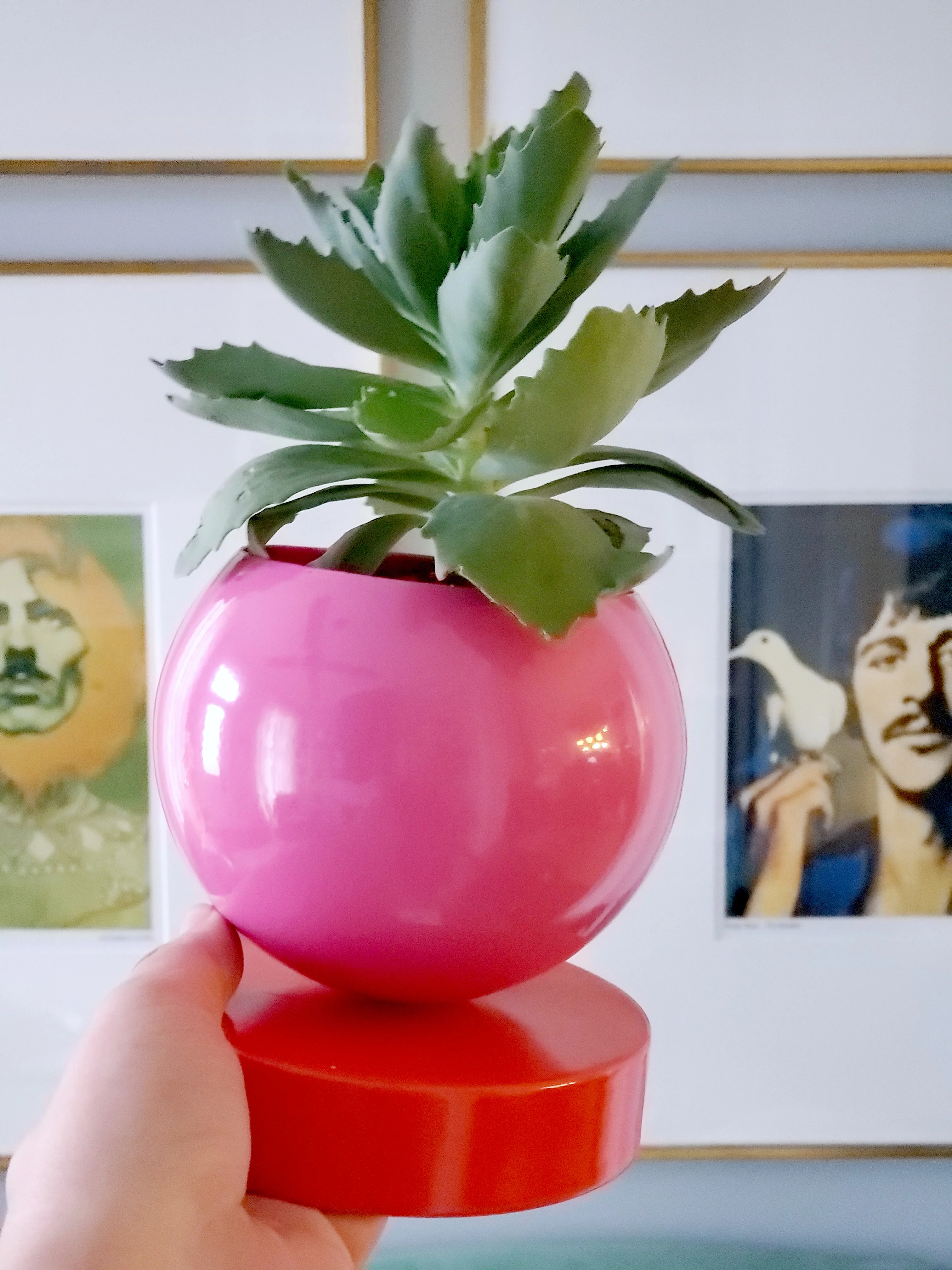 Thumbnail 16